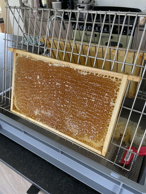 Zomerhoning 500 gram - Afbeelding 3